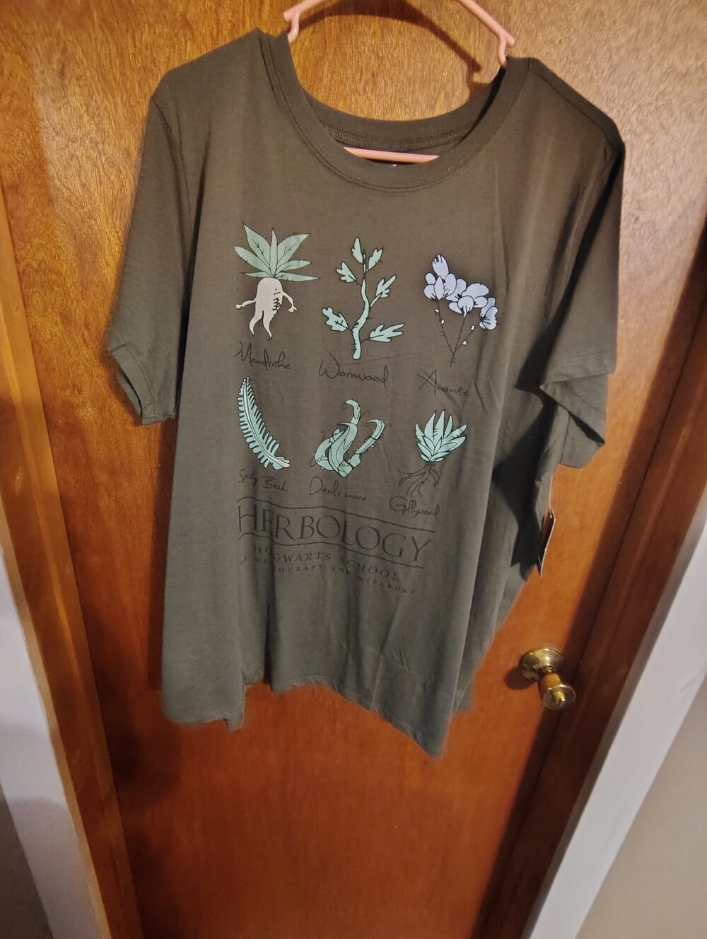 torrid Olive Green Herbology Graphic Tee